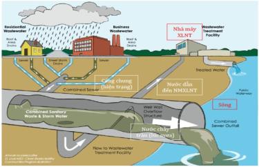 Tổng quát chung về các nhà máy xử lý nước thải đang hoạt động
